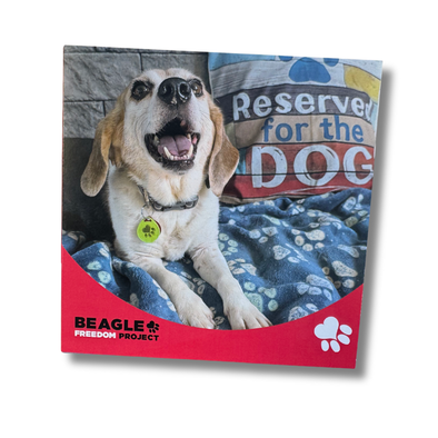 BFP Donation Card | Happy Beagle