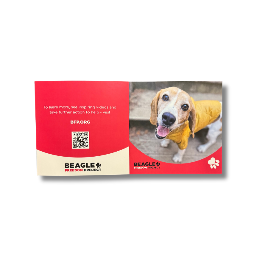 BFP Donation Card – Beagle Freedom Project™