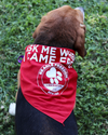 "Ask Me Where I Came From" Dog Bandana
