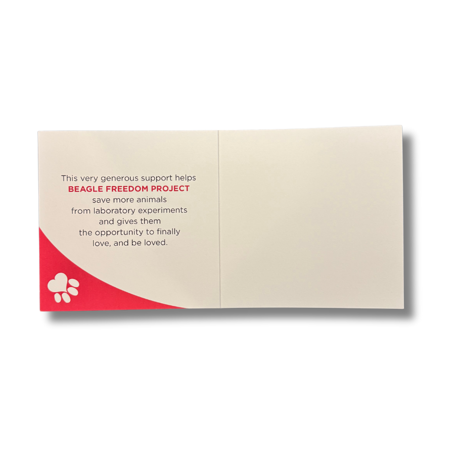 BFP Donation Card – Beagle Freedom Project™