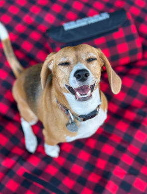 Red Roll-Up Picnic Blanket