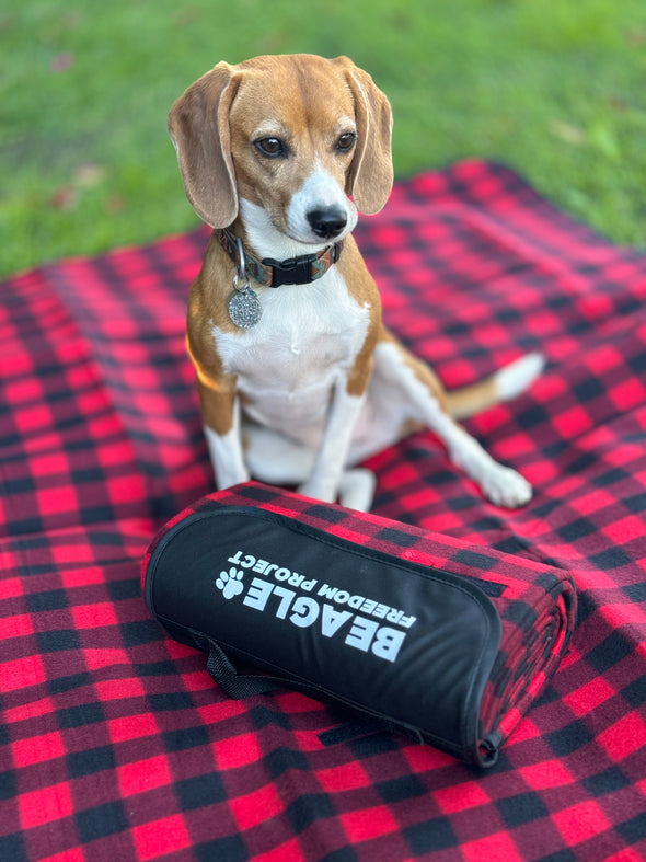 Red Roll-Up Picnic Blanket