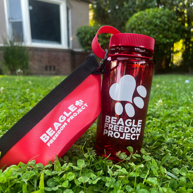 BFP Water Bottle & Bowl