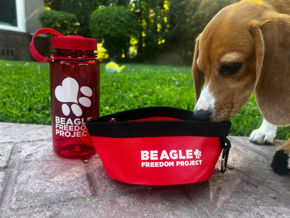 BFP Water Bottle & Bowl