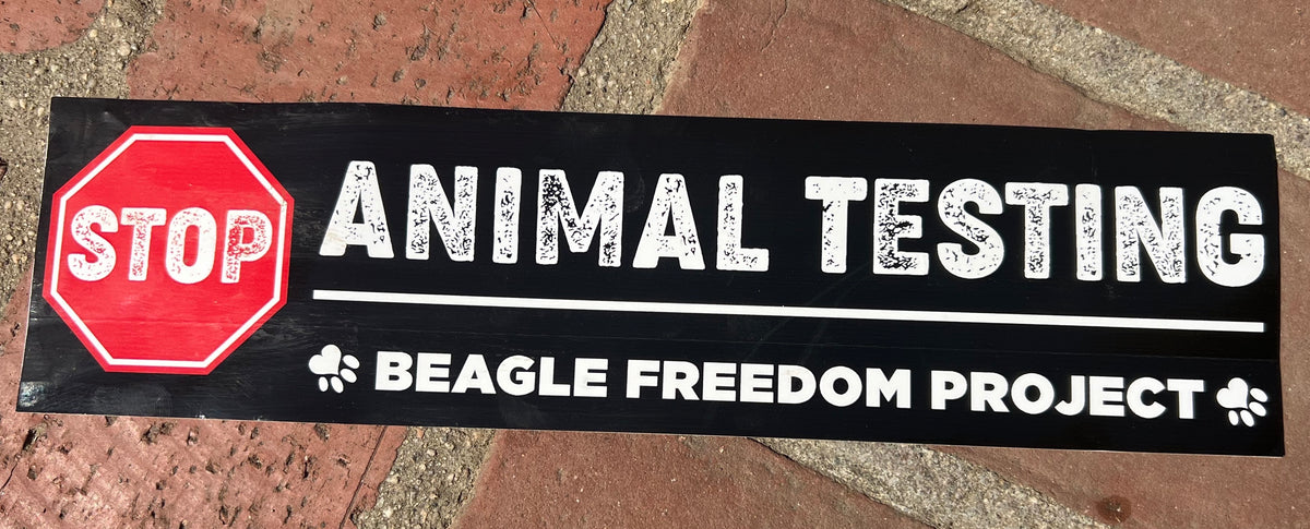 STOP Animal Testing Bumper Sticker – Beagle Freedom Project™