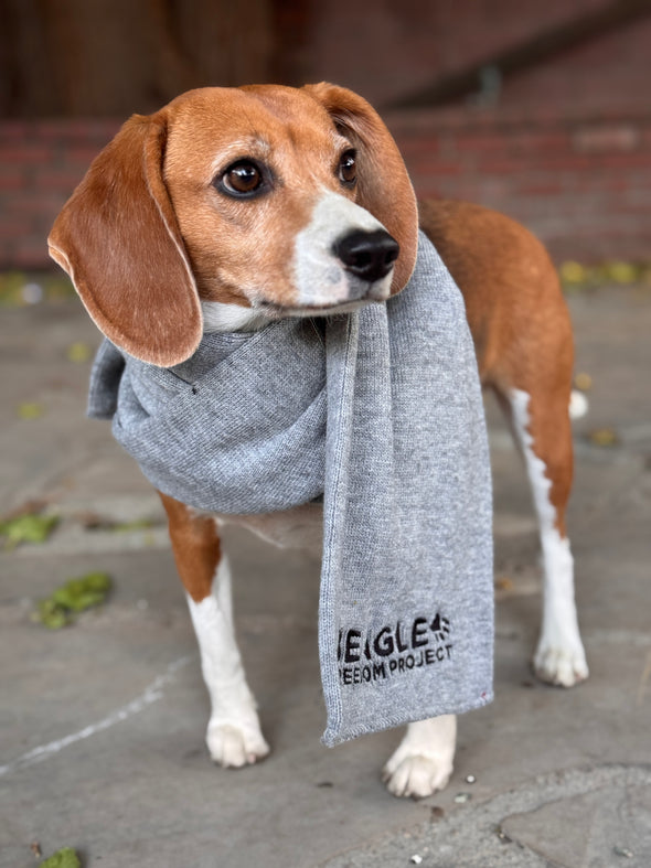 BFP embroidered cozy Scarf