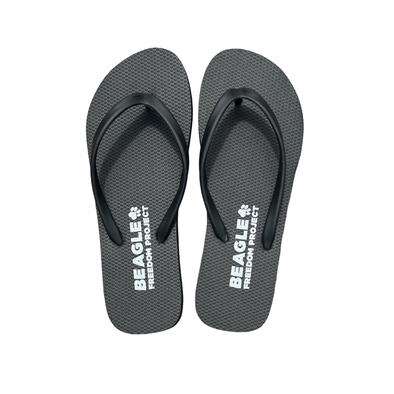 BFP Flip Flops