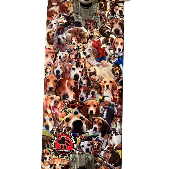 Saved & Loved Skateboard