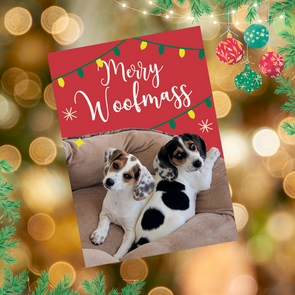 "Merry Woofmas" Holiday cards - 10 pack