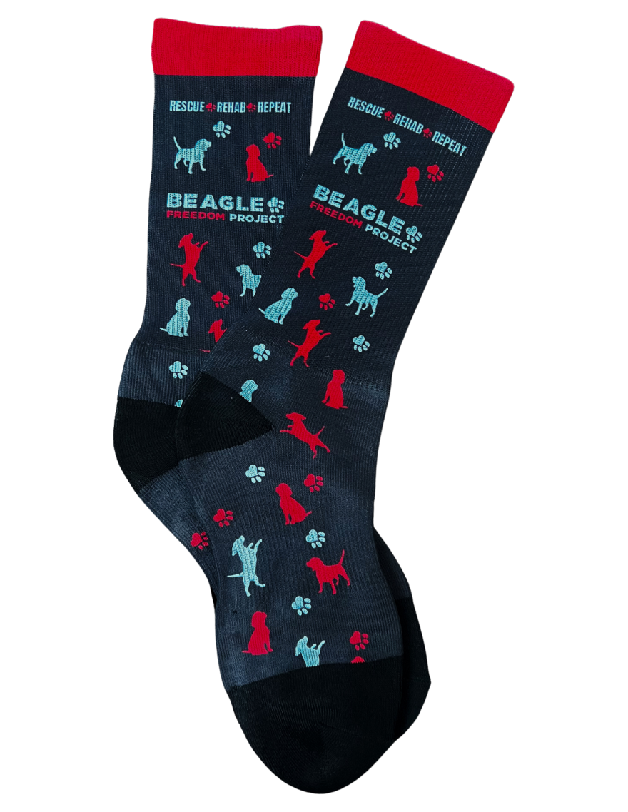 Fun BFP Beagle Crew Socks! – Beagle Freedom Project™