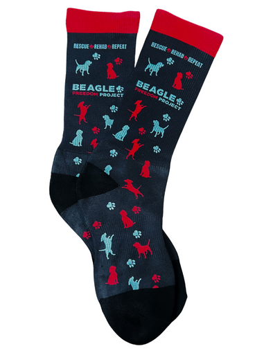 Fun BFP Beagle Crew Socks!