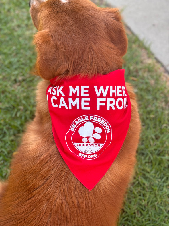 Dog Bandana