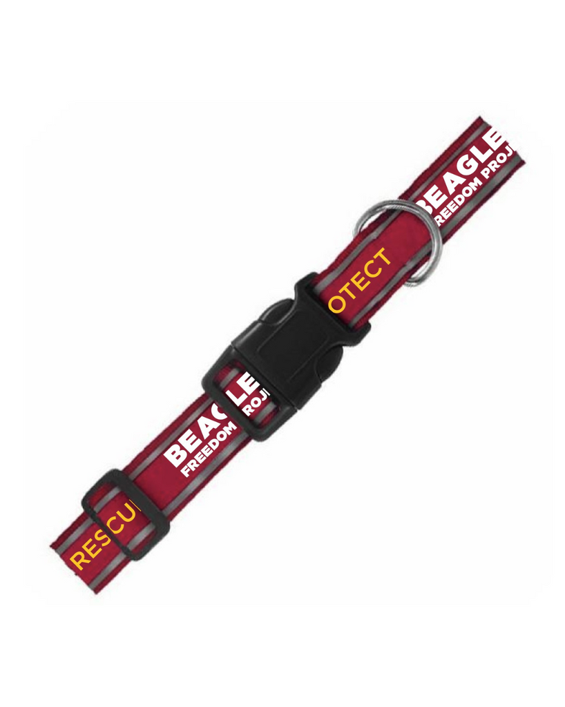 BFP Rescue Protect Love | Reflective Dog Collar – Beagle Freedom