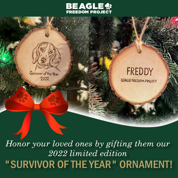 SALE Survivor Of The Year Ornament