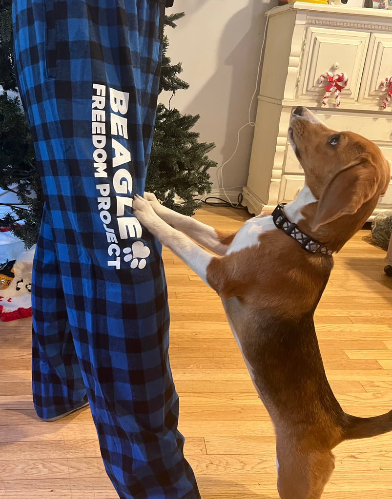 BFP Blue Flannel Pajama Pants – Beagle Freedom Project™