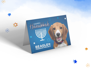 Hanukkah Cards - 10 Pack