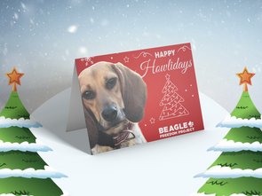 Holiday Cards - 10 Pack